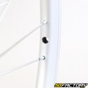 Ruota anteriore bicicletta da 26&quot; (19-559), alluminio grigio (bloccaggio con dadi)