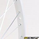 Ruota posteriore per bicicletta 26&quot; (20-559) per ruota libera in alluminio grigio 6/7V