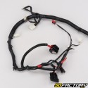 Electrical harness Piaggio Zip 50 4 (2018 - 2020)