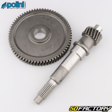 Transmission primaire 18/69 Aprilia Scarabeo 125, 150 4T Polini