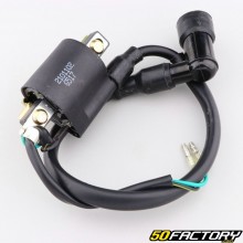 Ignition coil YX, Lifan 88, 107, 110...