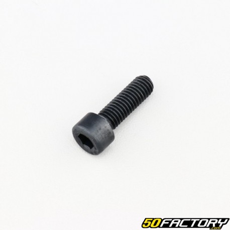 Tornillo 8x25 mm cabeza BTR clase 8.8 negro (individualmente)