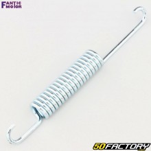 Crutch Spring Fantic Engine