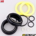 Ari bicycle fork oil seals DT Swiss)