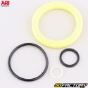 Ari bicycle fork oil seals DT Swiss)