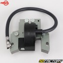 Bobina di accensione Briggs-Stratton 09J900, 10M900, 110000... Rotary
