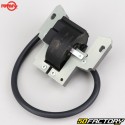 Bobina di accensione Briggs-Stratton 09J900, 10M900, 110000... Rotary
