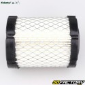 Briggs-Stratton 215802, 215805, 215807... Filtro de ar Kalysta