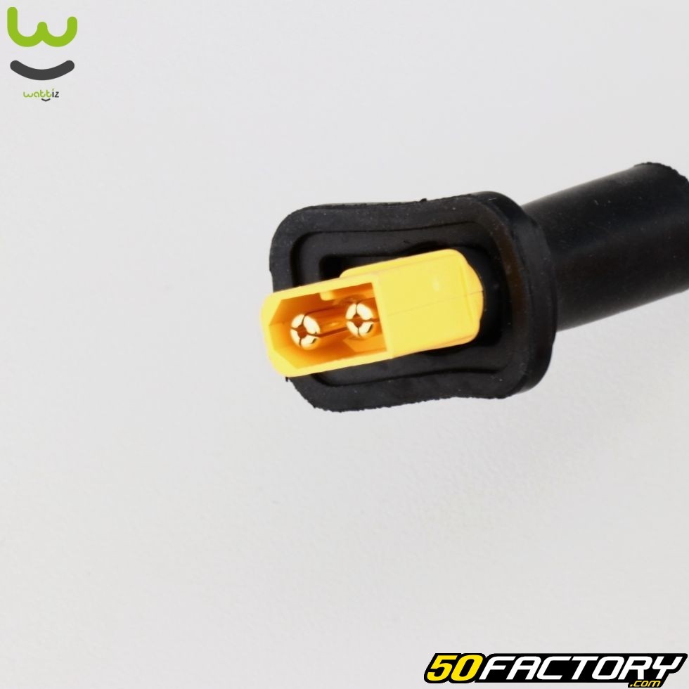 Cable connectique batterie Wispeed T855