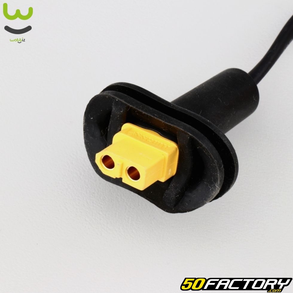Cable connectique batterie Wispeed T855