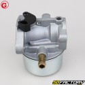 Carburatore Briggs-Stratton 12C800, 122K00, 128800... Granit
