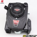 Cortacésped motor eje vertical Loncin LC 2000 FE-2000 cc