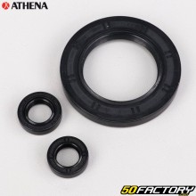 Paraolio motore Kawasaki ER-6 650 (2006 - 2016) Athena