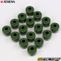 Guarnizione motore Honda CBR 600RR (2003 - 2004) Athena