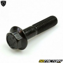 Steering column screw Peugeot Kisbee  et  Streetzone