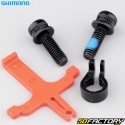 Pinza de freno de bicicleta “MTB” Shimano BR-MTXNUMX (XNUMX pistones)