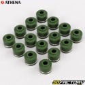 Engine seals Honda CBR 600 (3 - 1995) Athena