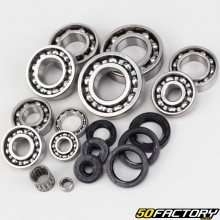 Rotax 122 low engine spinnaker bearings and seals Aprilia AF1, RS 125 ...