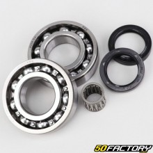 Crankshaft spinnaker bearing and seals with Rotax needle cage Aprilia RS, AF1, Red Rose 125 ...