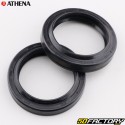 Fork oil seals 100x100x200/200mm Honda Shadow 600, Suzuki DR 125, Yamaha FZ 700... Athena