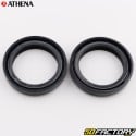 Fork oil seals 100x100x200/200mm Honda Shadow 600, Suzuki DR 125, Yamaha FZ 700... Athena