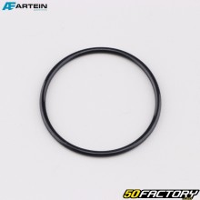 O-Ring-Zylinderkopfdichtung Ø100x100mm Peugeot 103, MBK 51 Artein