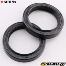 Fork oil seals 100x100x200/200mm Honda Shadow,  Deluxe 600 (2003 - 2006) Athena