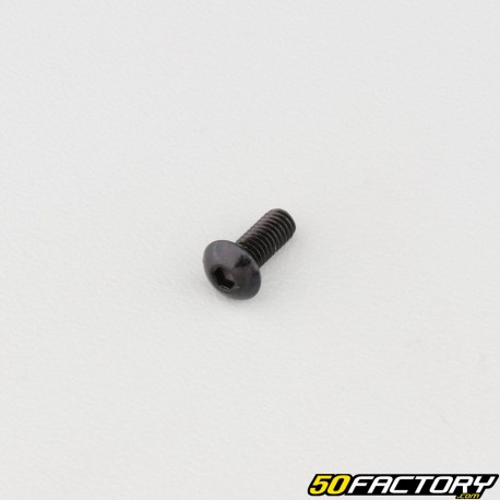 Tornillo 4x10 mm BTR cabeza redondeada clase 10.9 negro (individualmente)