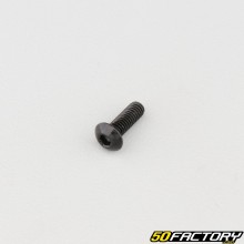 Screw 4x12 mm BTR rounded head class 10.9 black (individually)