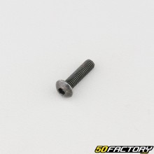 Screw 4x16 mm BTR rounded head class 10.9 black (individually)