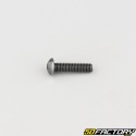 4x16 mm screw BTR rounded head class 10.9 black (individually)