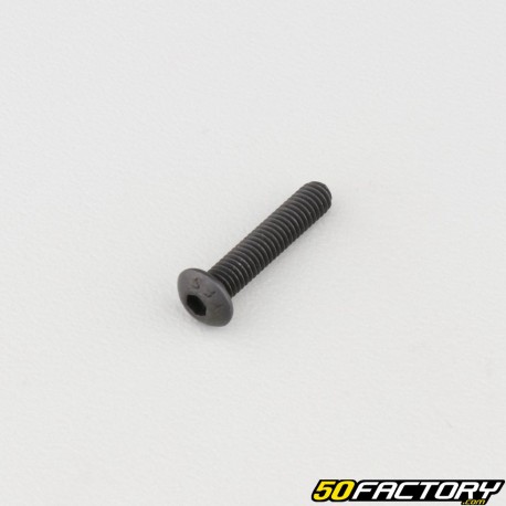 Tornillo 4x20 mm BTR cabeza redondeada clase 10.9 negro (individualmente)