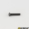 4x20 mm screw BTR rounded head class 10.9 black (individually)