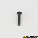 Tornillo 4x20 mm BTR cabeza redondeada clase 10.9 negro (individualmente)