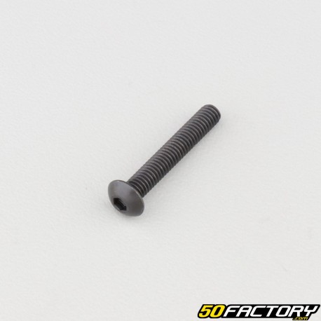 Tornillo 4x25 mm BTR cabeza redondeada clase 10.9 negro (individualmente)