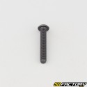 Tornillo 4x25 mm BTR cabeza redondeada clase 10.9 negro (individualmente)