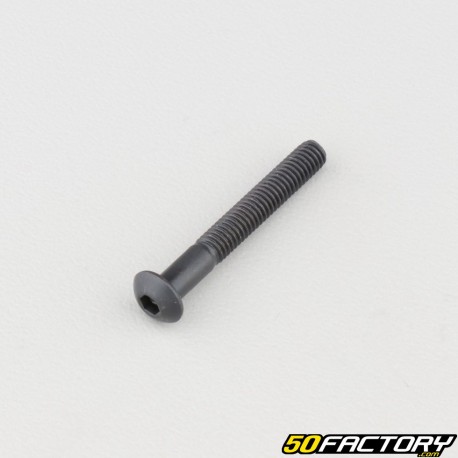 Tornillo 4x30 mm BTR cabeza redondeada clase 10.9 negro (individualmente)