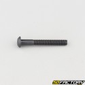 Tornillo 4x30 mm BTR cabeza redondeada clase 10.9 negro (individualmente)