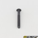 Tornillo 4x30 mm BTR cabeza redondeada clase 10.9 negro (individualmente)