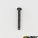 Tornillo 4x35 mm BTR cabeza redondeada clase 10.9 negro (individualmente)