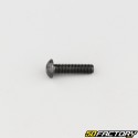 Tornillo 5x20 mm BTR cabeza redondeada clase 10.9 negro (individualmente)