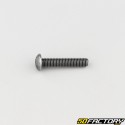 Tornillo 5x25 mm BTR cabeza redondeada clase 10.9 negro (individualmente)