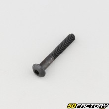 Screw 5x35 mm BTR rounded head class 10.9 black (individually)