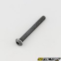 5x45 mm screw BTR rounded head class 10.9 black (individually)