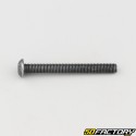 5x45 mm screw BTR rounded head class 10.9 black (individually)