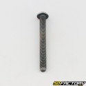 Tornillo 5x50 mm BTR cabeza redondeada clase 10.9 negro (individualmente)