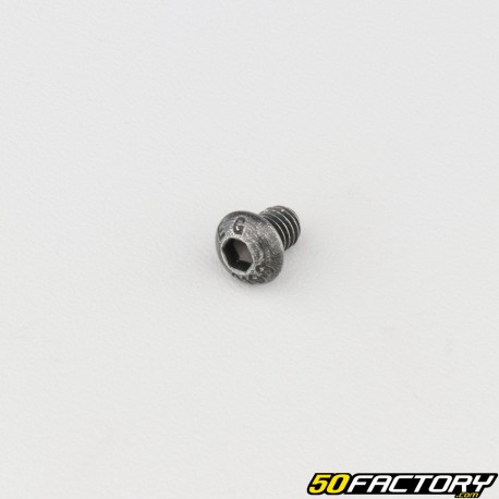 Vite 6x8 mm BTR testa arrotondata classe 10.9 nera (singolarmente)