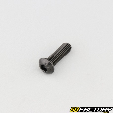 6x20 mm screw BTR rounded head class 10.9 black (individually)