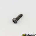 6x20 mm screw BTR rounded head class 10.9 black (individually)