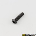 6x25 mm screw BTR rounded head class 10.9 black (individually)